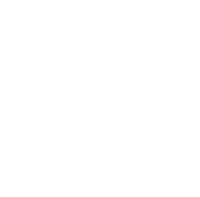 Bluecube Technology Solutions