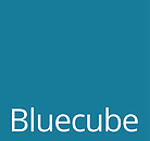 Bluecube Technology Solutions