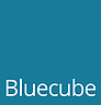 Bluecube Technology Solutions